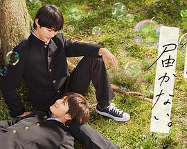 网站优化规则文案案例